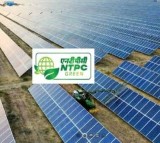 NTPC रिन्यूएबल एनर्जी ने गुजरात में 37.50 MW सोलर सप्लाई की शुरुआत की